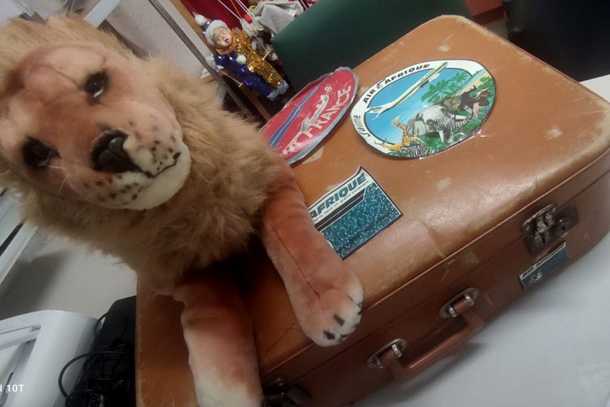 Photo d'un peluche lion sur une viellie valise.