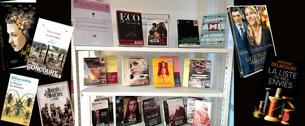 Photo d'une etagère avec les livres et les DVD