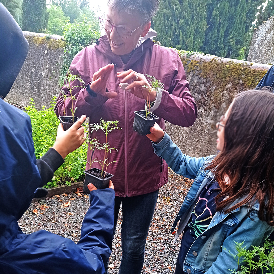 animation jardin lombers 2025 06